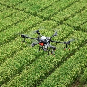 dji, drone, plant protection drone, farmland, agriculture, plant protection, t16, rice, in rice field, agras, farming, uav, extremely fly, dji, drone, drone, uav, uav, uav, uav, uav